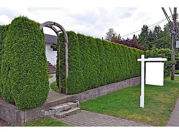 Single House In Edgemont (North Vancouver)