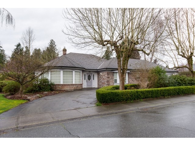 White Rock Fantastic home located on a quiet street (South Surrey)