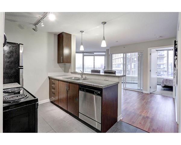 Downtown Bright 2bdrm2 bath+den Condo with gorgeous views