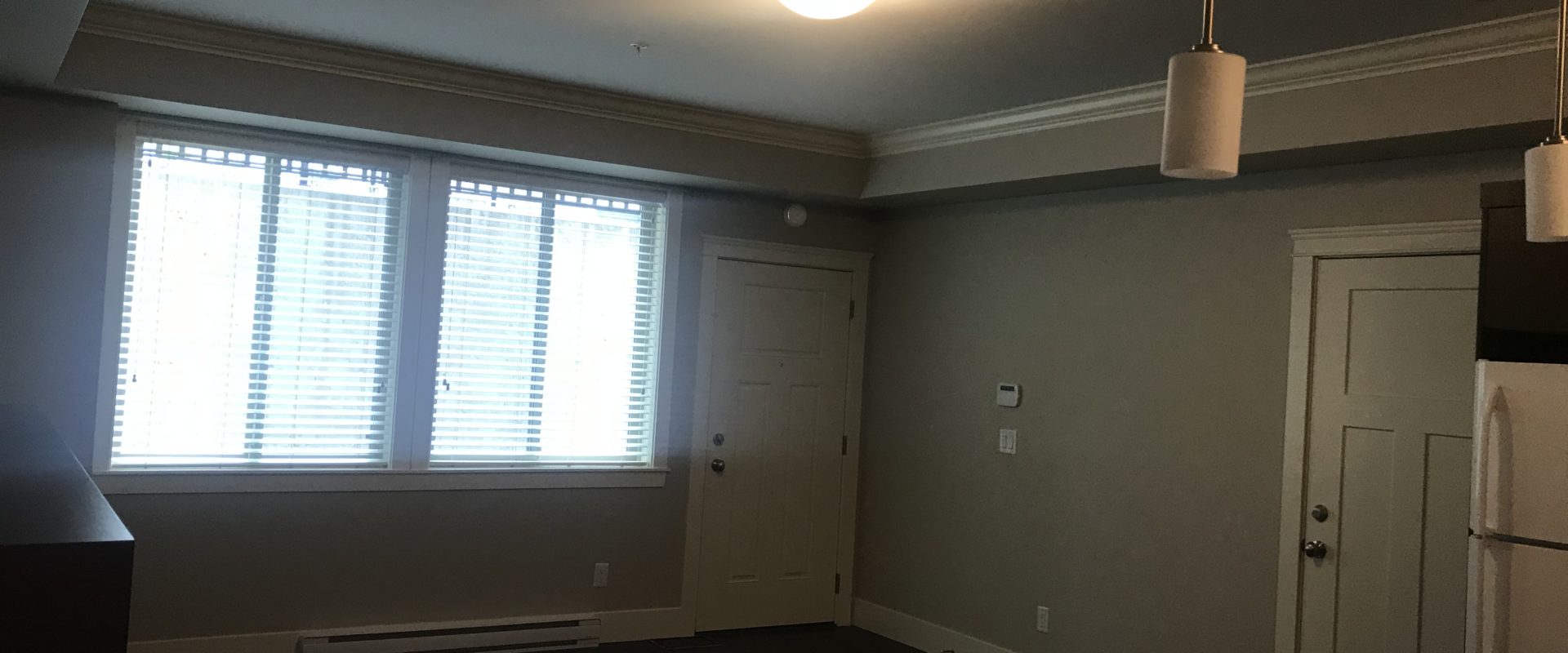 Anmore 2br 1ba basement suite for rent(everything included!)