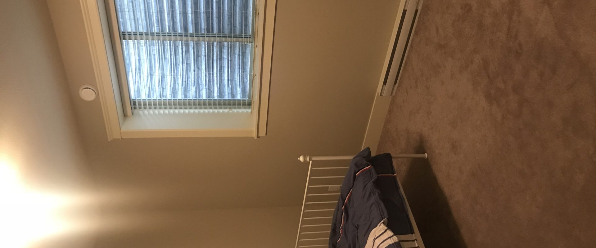 Anmore 2br 1ba basement suite for rent(everything included!)