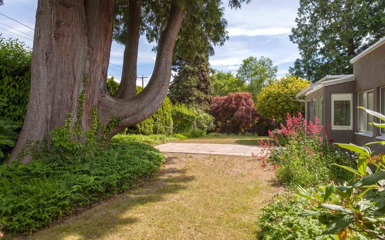 West Vancouver Amazing Skylights house with mature gardens for rent!