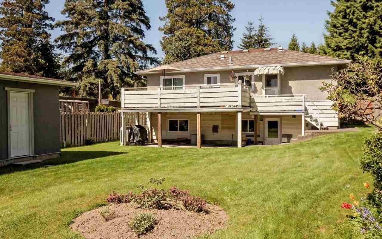 North Vancouver Cozy 2br 1ba basement suite in a convenient Location!