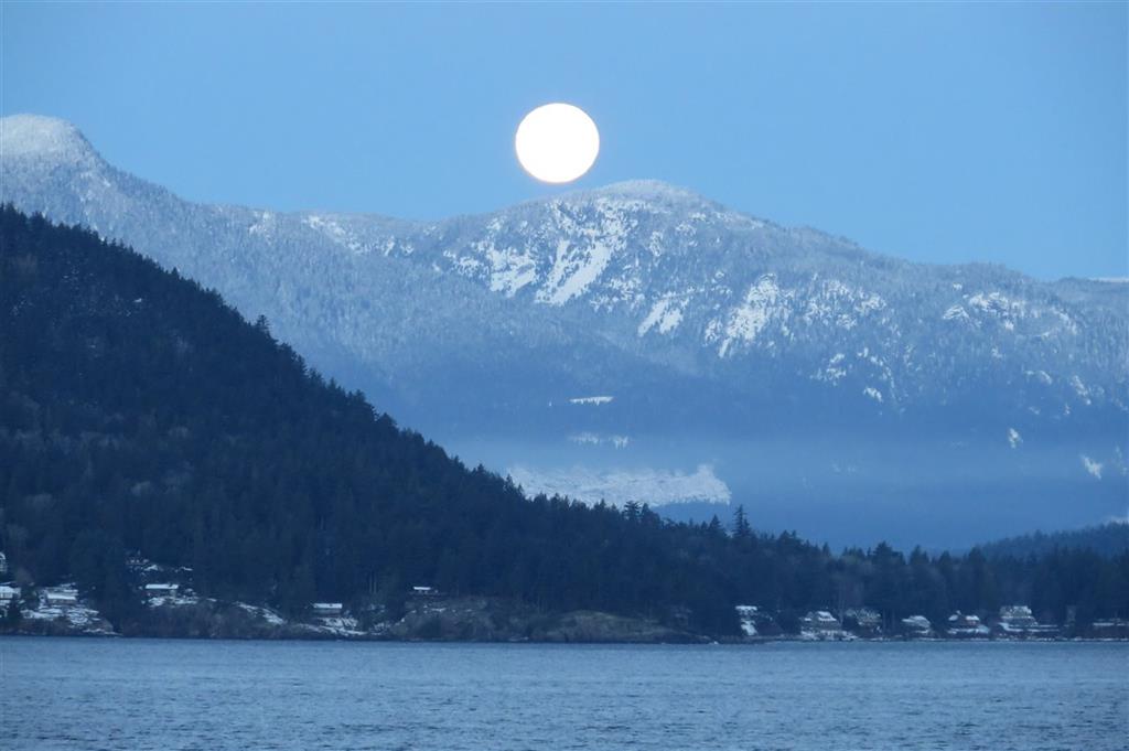 Amazing ocean view house for the whole family in West Vancouver