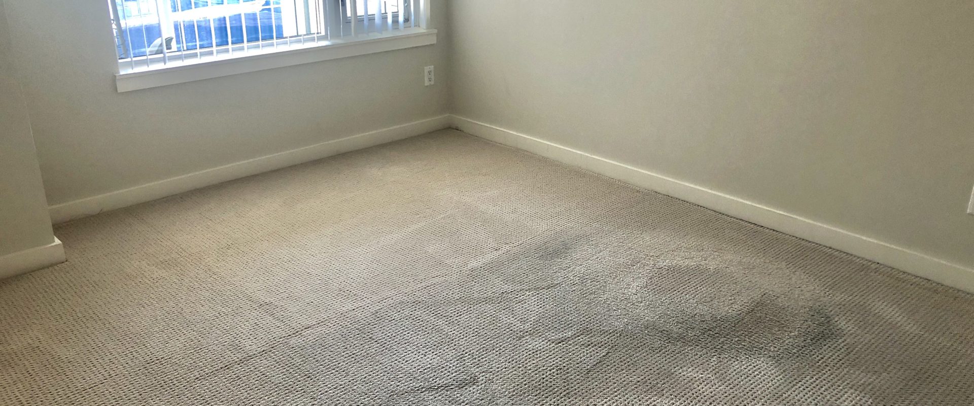 Walking distance to everywhere! 2br 2ba Condo in the heart of Richmond