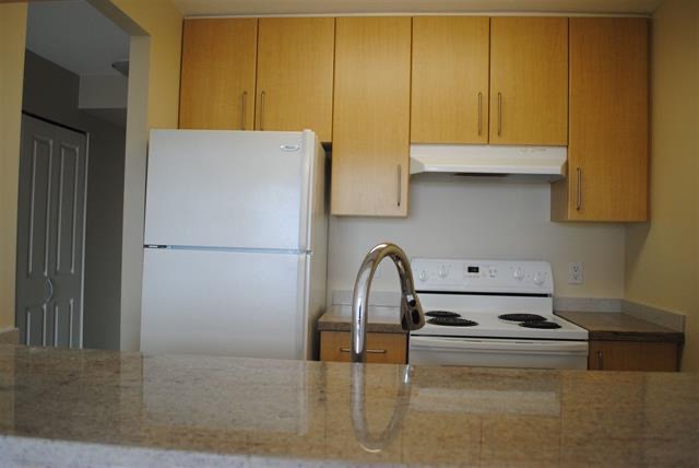 Gorgeous 1 bdrm+den furnished Condo with 3 Balconies (Vancouver East)