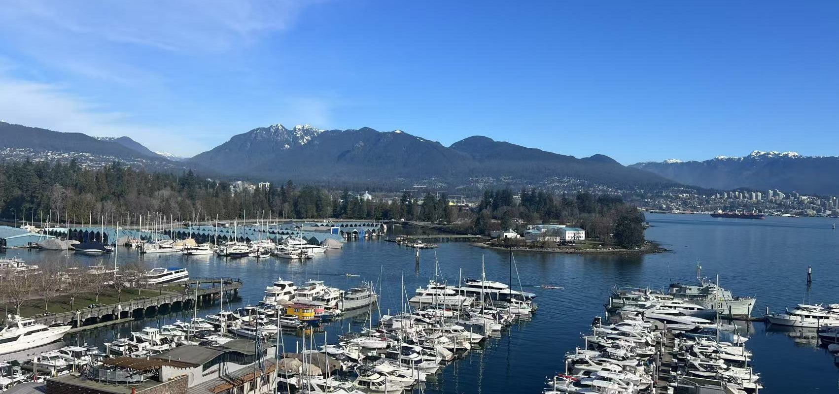 Luxurious 2-Bedroom Condo in Coal Harbour with Stunning Ocean Views!