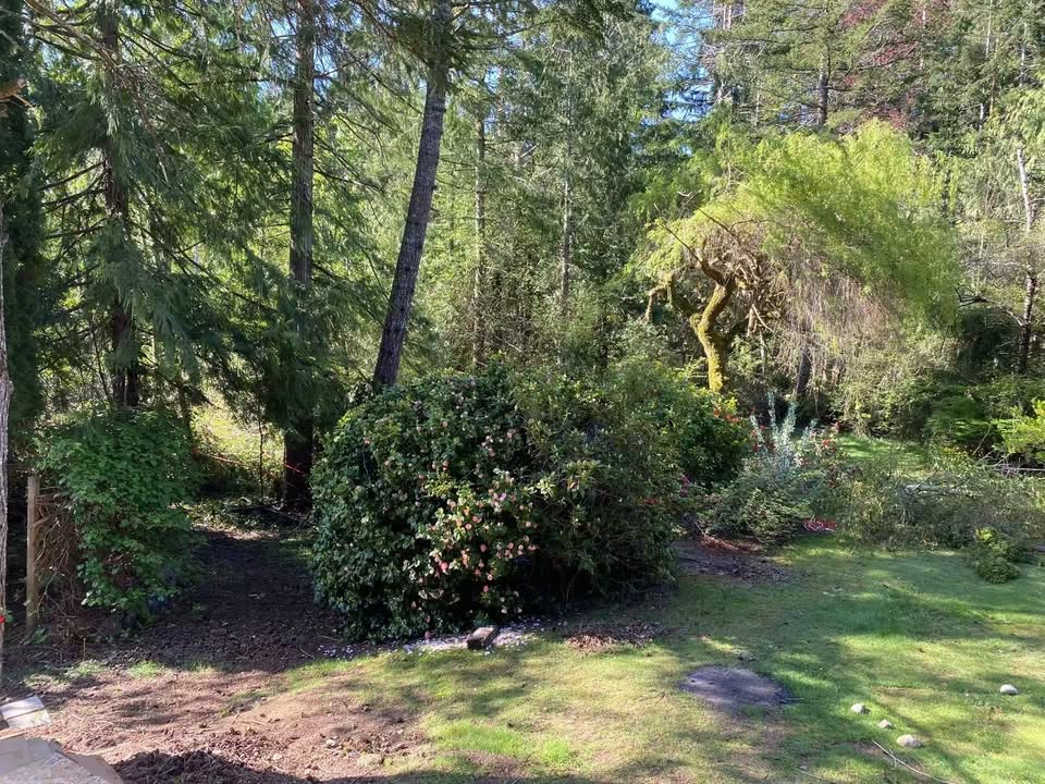 Lantzville 3 Beds 2 Baths House For Rent