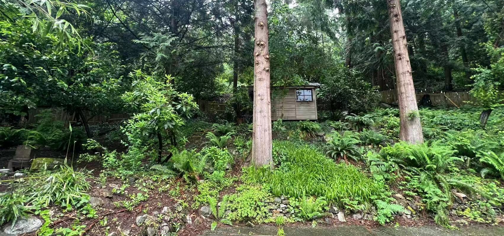 Whytecliff park Upper level single family home for rent