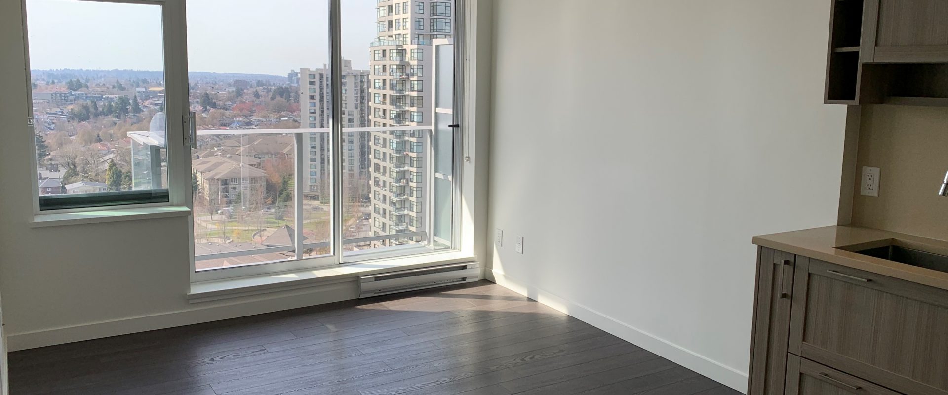 温哥华东区的1br 1ba高层公寓，可欣赏山景，对外出租