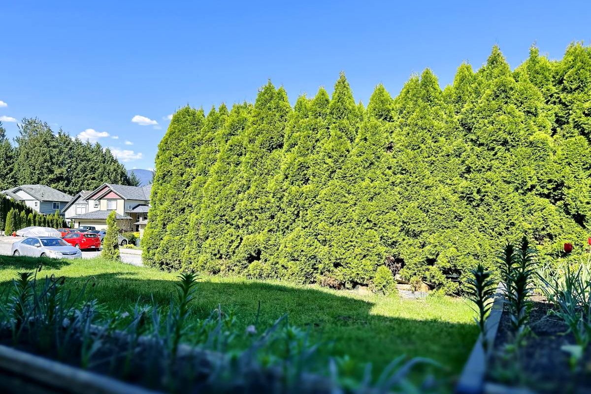 高贵林2室1卫出租步行距离至高贵林中心